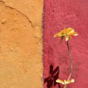 Right Angled Shadow